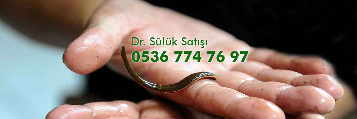 Doğal Sülük Üretimi Çiftliği 