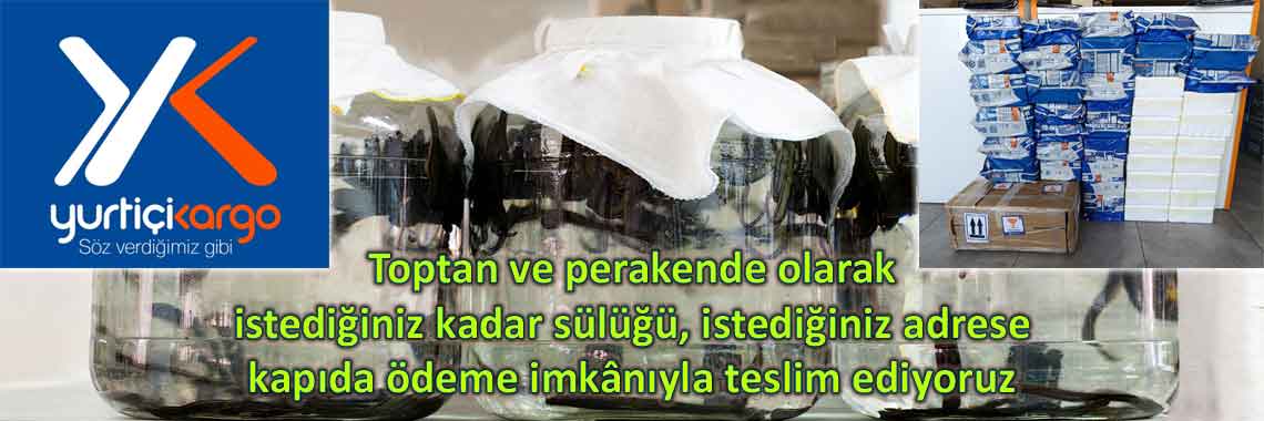 Ucuz Toptan Sülük
