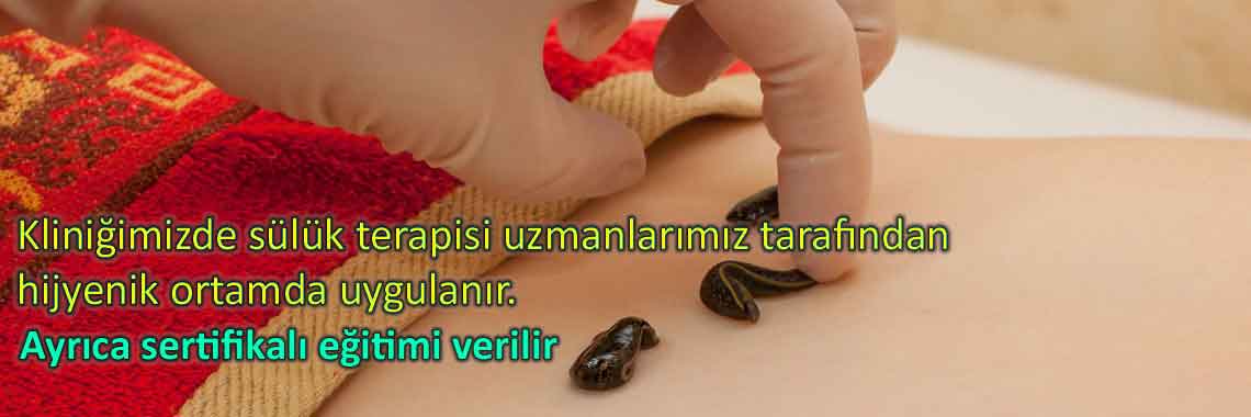 Doktor Sülük