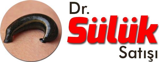 Dr Sülük